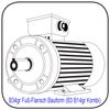D Mot Elektromotor B34gr Fuß-Flansch-Bauform Fuß/Flanschmotor